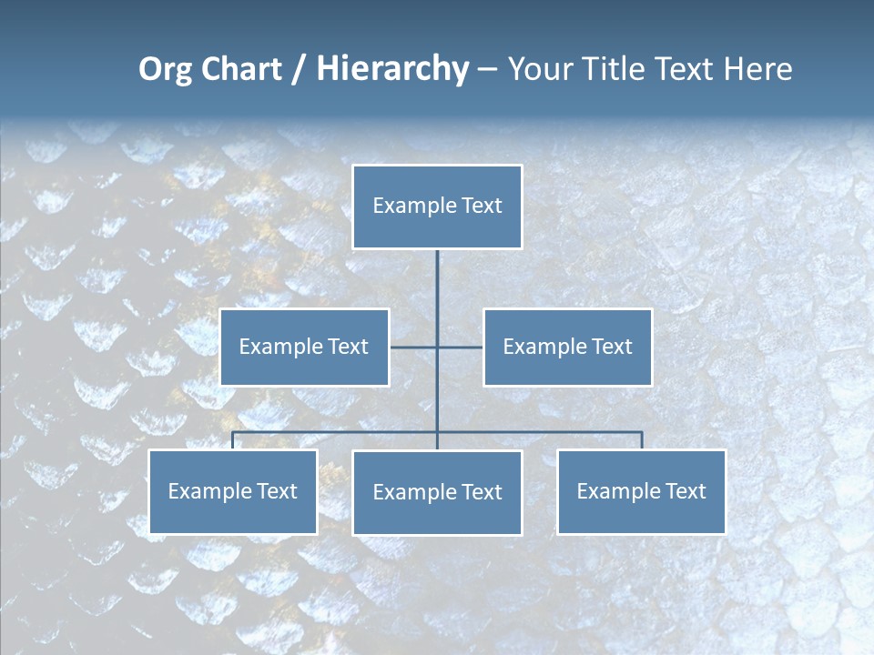 Skin Fish Silver PowerPoint Template