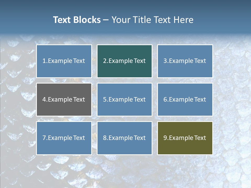 Skin Fish Silver PowerPoint Template