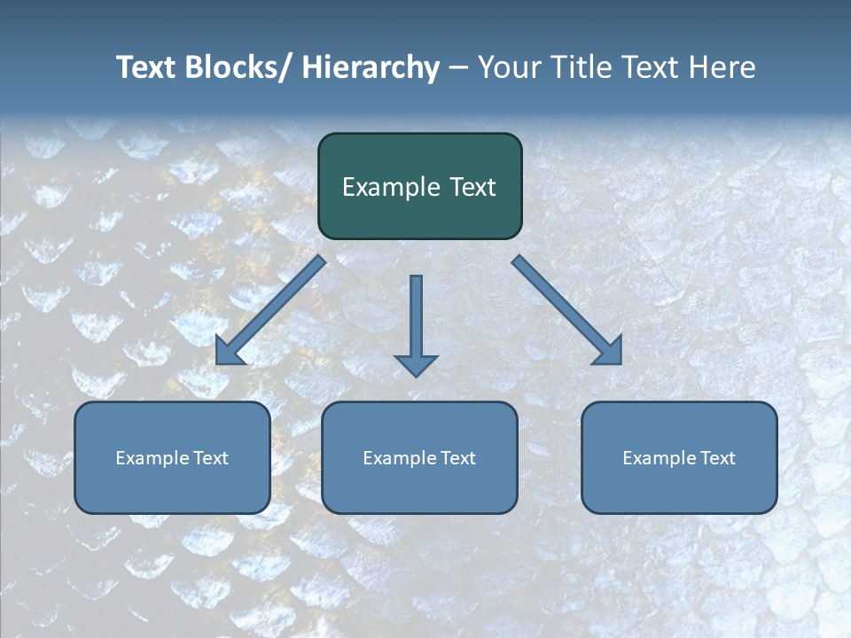 Skin Fish Silver PowerPoint Template