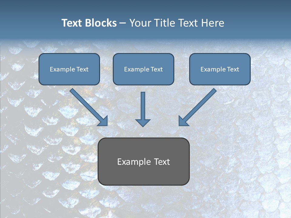 Skin Fish Silver PowerPoint Template