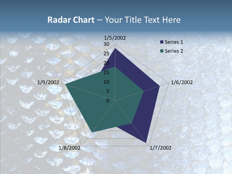 Skin Fish Silver PowerPoint Template