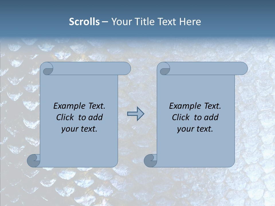 Skin Fish Silver PowerPoint Template