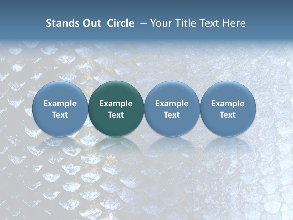 Skin Fish Silver PowerPoint Template