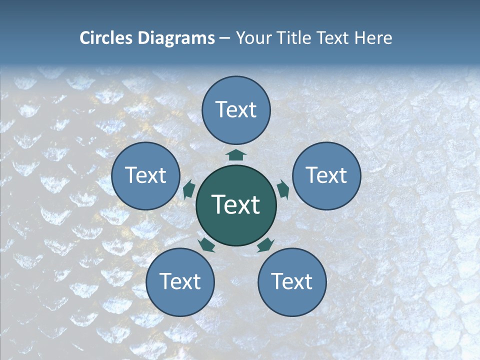 Skin Fish Silver PowerPoint Template