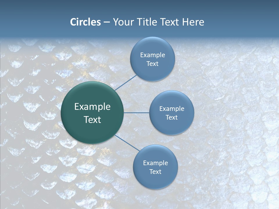 Skin Fish Silver PowerPoint Template