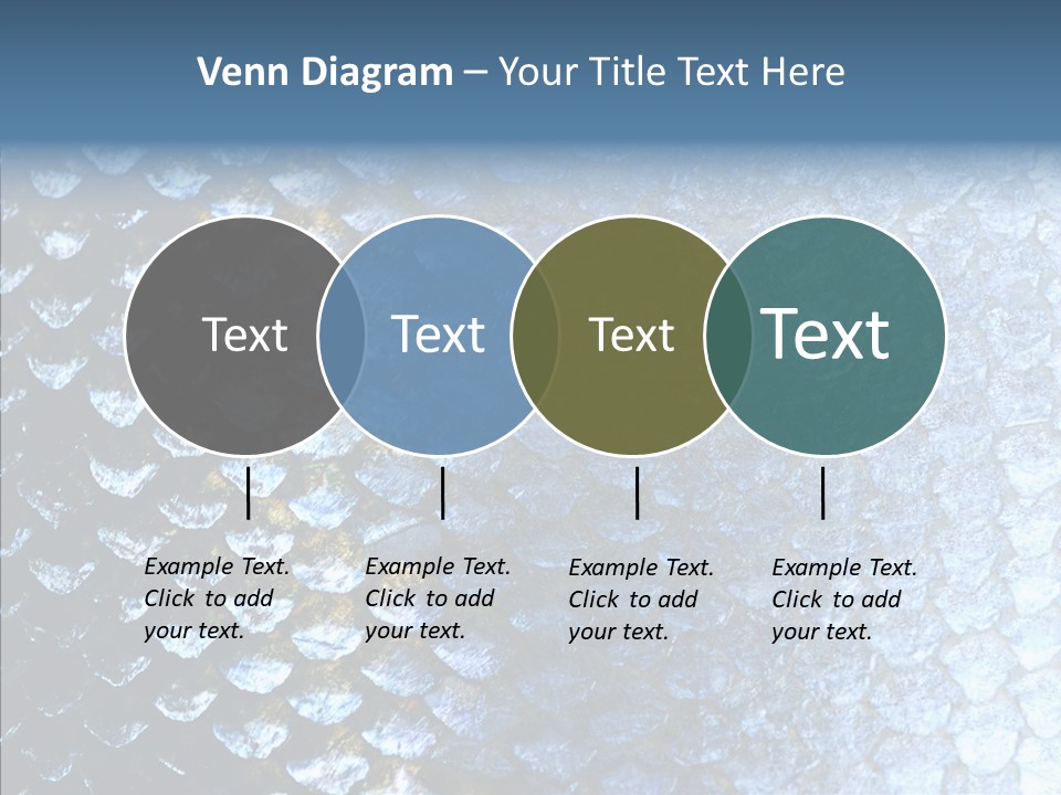 Skin Fish Silver PowerPoint Template