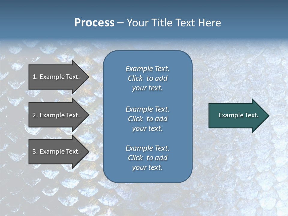 Skin Fish Silver PowerPoint Template
