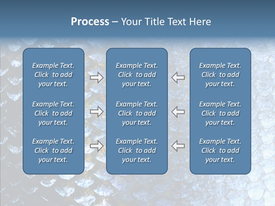 Skin Fish Silver PowerPoint Template