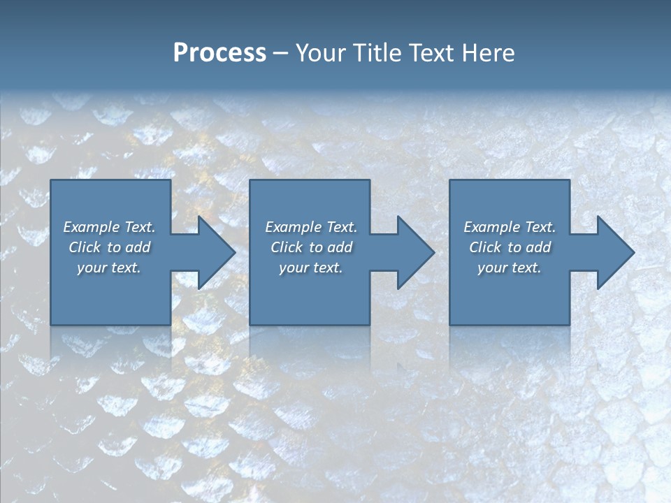 Skin Fish Silver PowerPoint Template