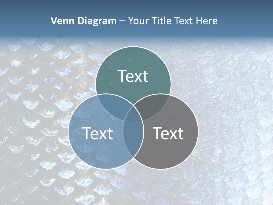 Skin Fish Silver PowerPoint Template