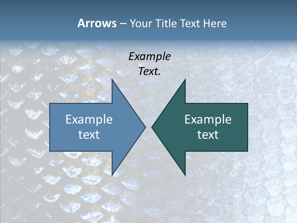 Skin Fish Silver PowerPoint Template