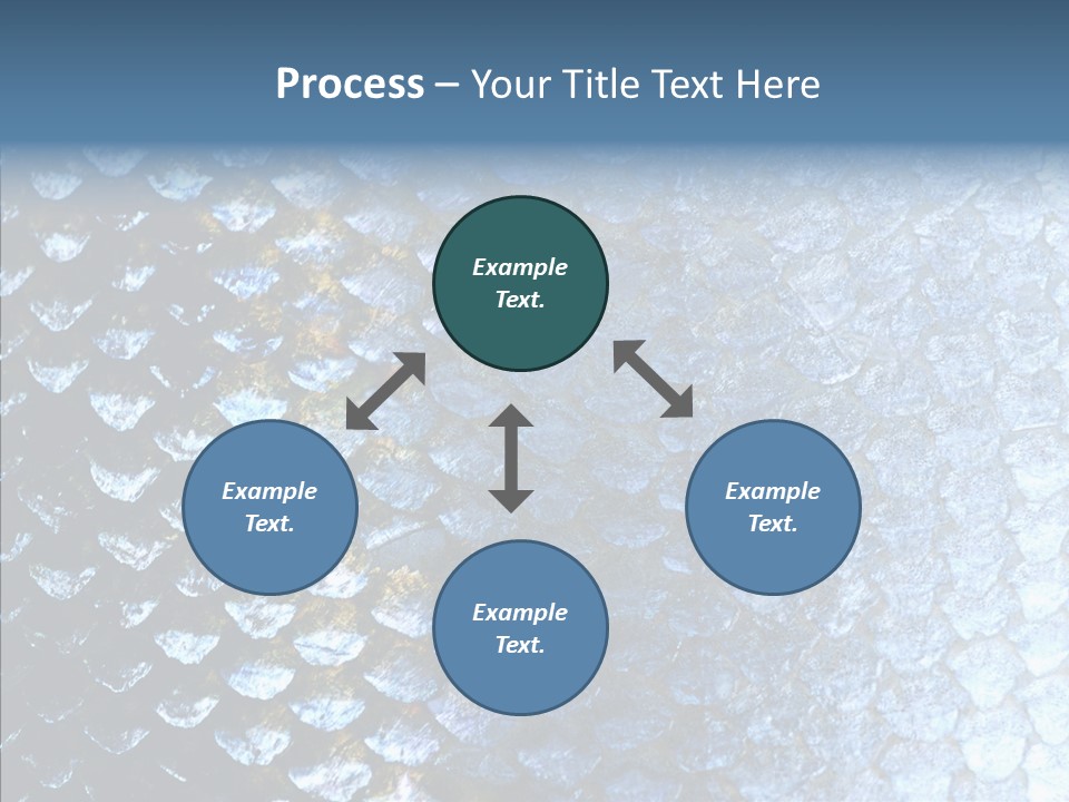 Skin Fish Silver PowerPoint Template