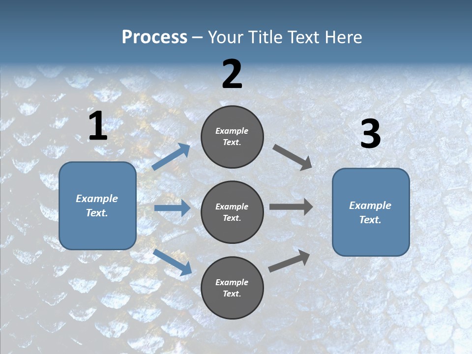 Skin Fish Silver PowerPoint Template