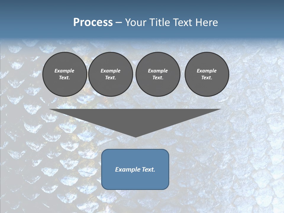 Skin Fish Silver PowerPoint Template