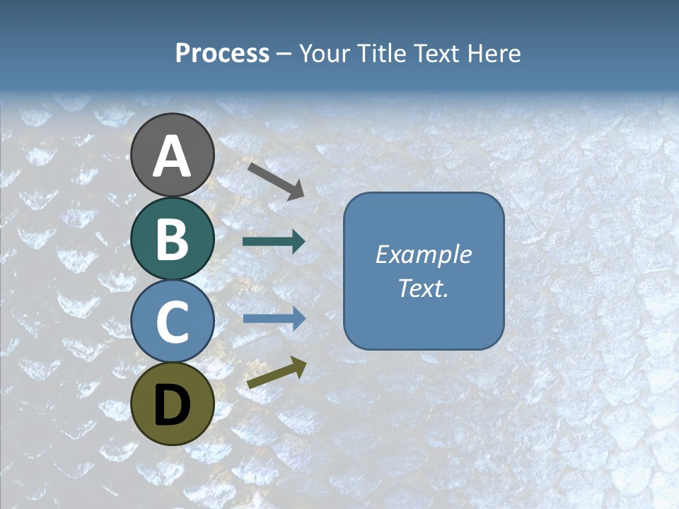 Skin Fish Silver PowerPoint Template