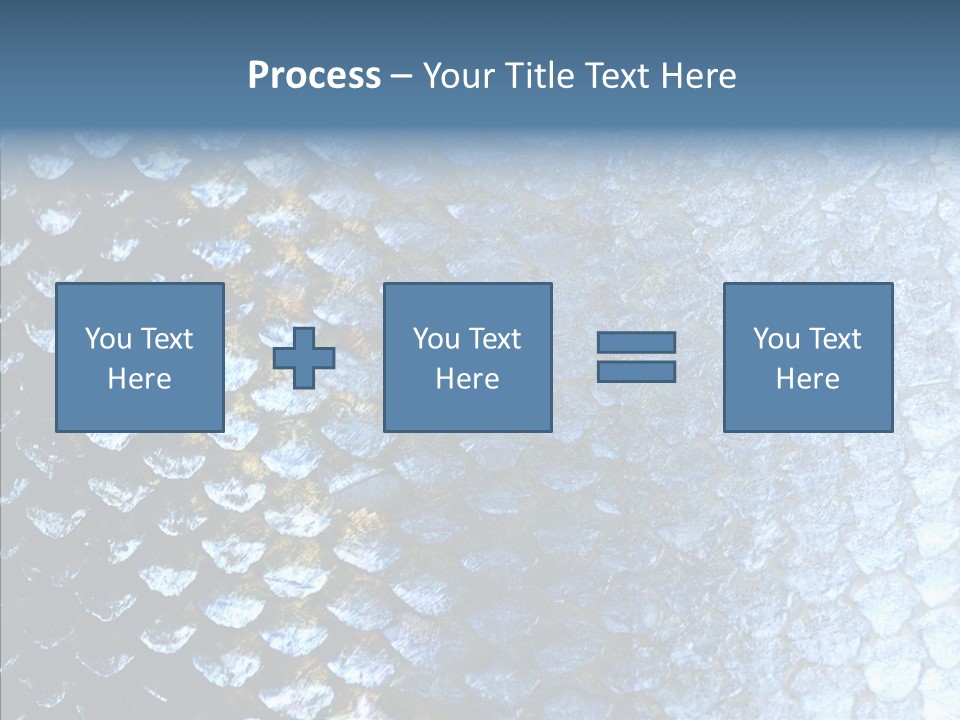 Skin Fish Silver PowerPoint Template