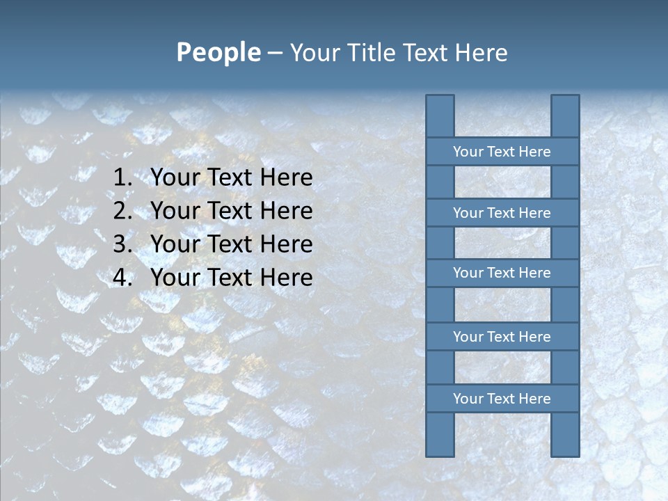 Skin Fish Silver PowerPoint Template