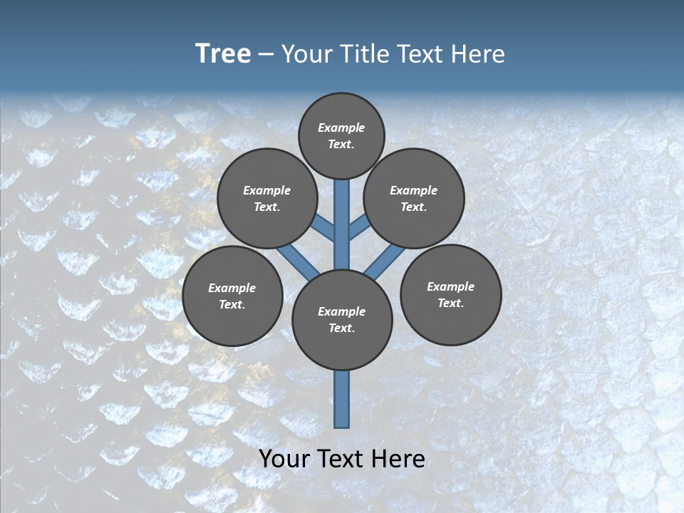 Skin Fish Silver PowerPoint Template