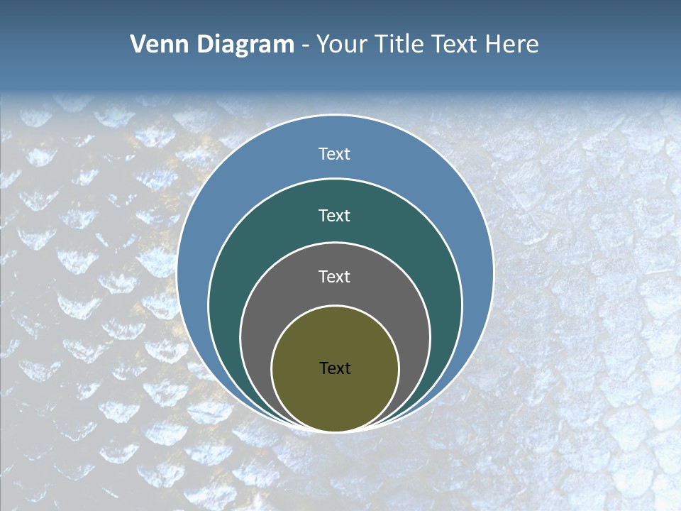 Skin Fish Silver PowerPoint Template