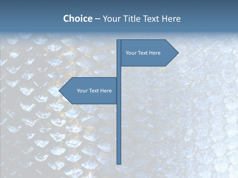 Skin Fish Silver PowerPoint Template