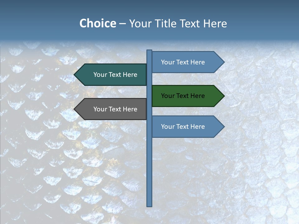 Skin Fish Silver PowerPoint Template