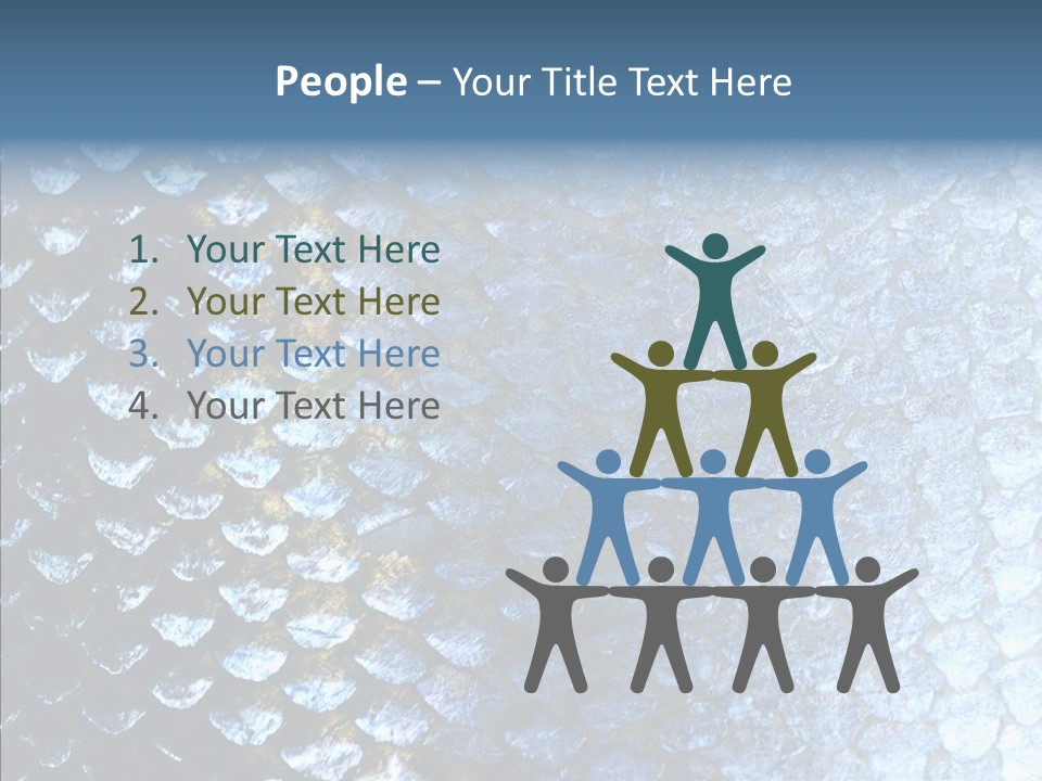 Skin Fish Silver PowerPoint Template