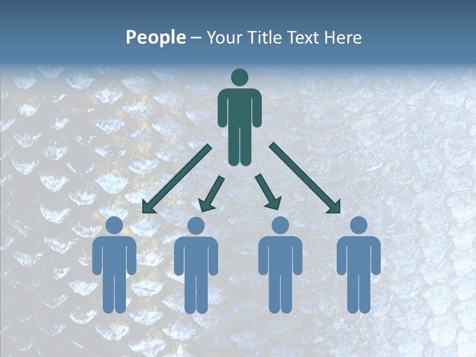 Skin Fish Silver PowerPoint Template