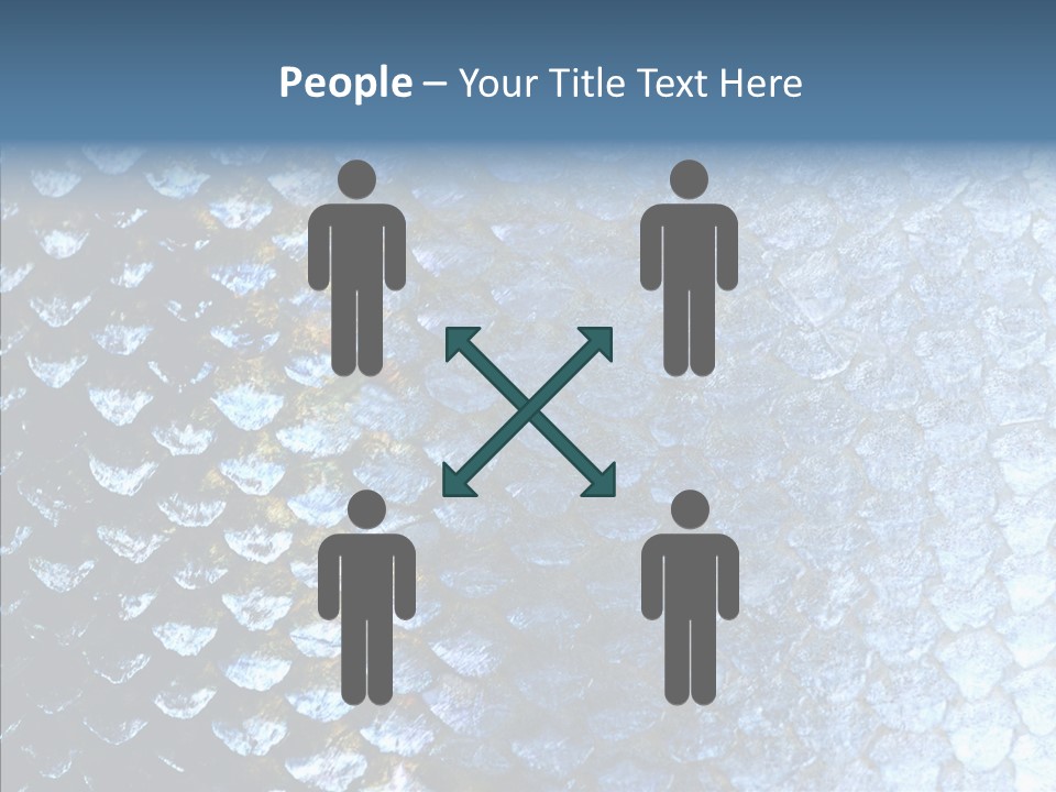Skin Fish Silver PowerPoint Template
