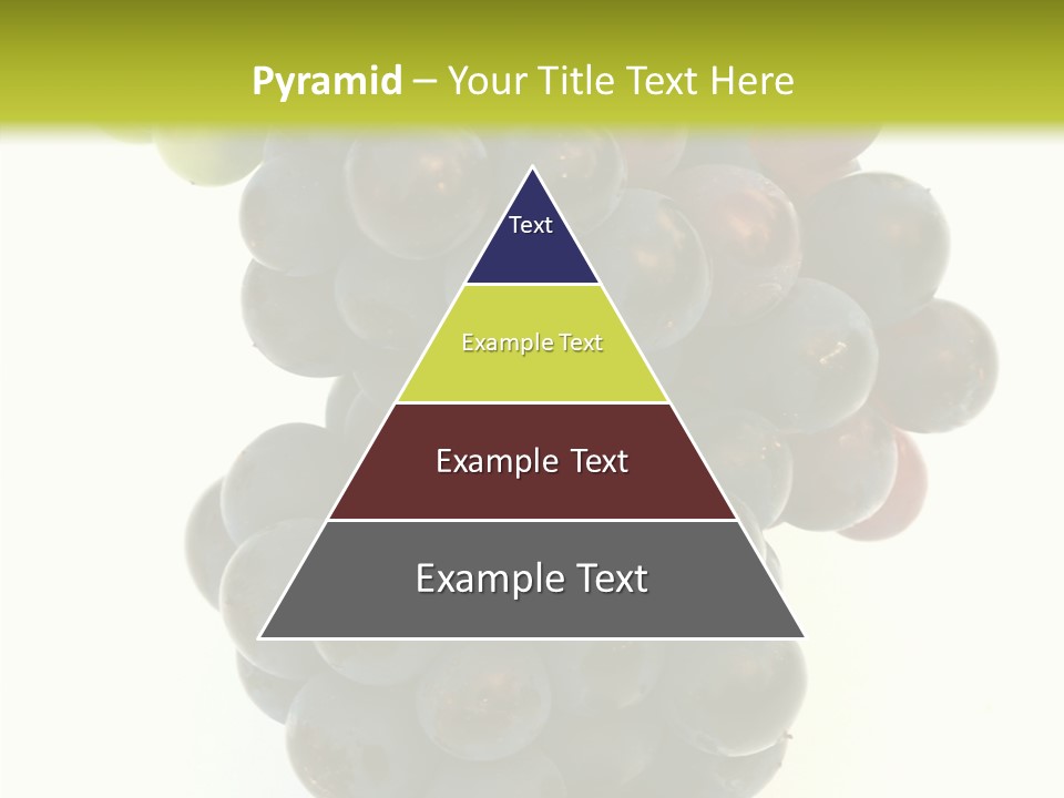 Drink Plant Red PowerPoint Template