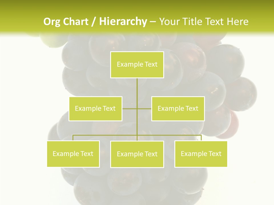 Drink Plant Red PowerPoint Template