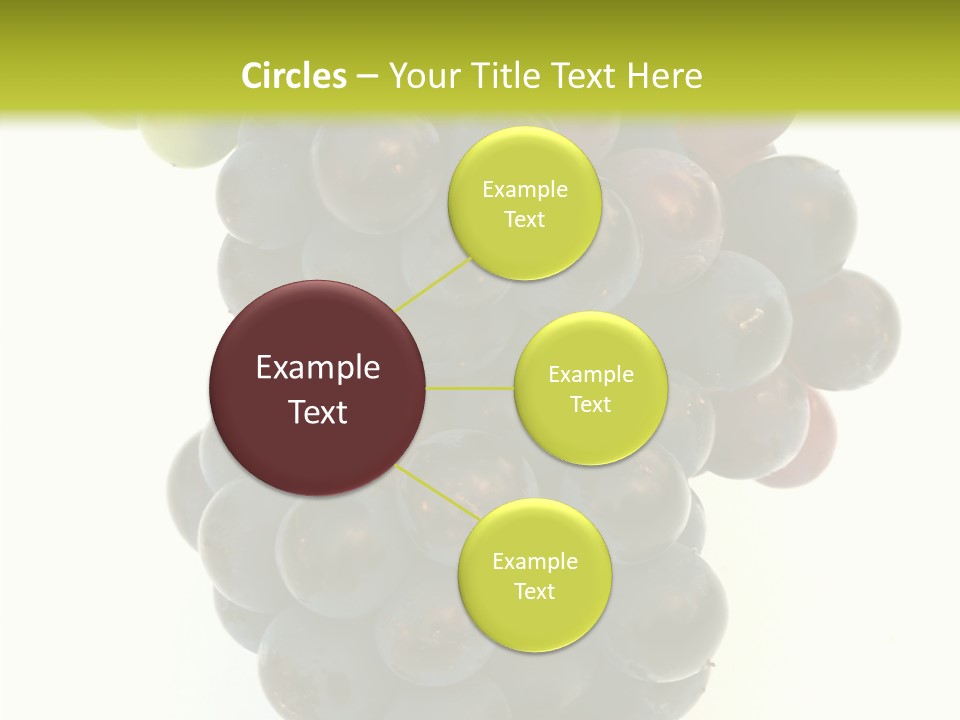 Drink Plant Red PowerPoint Template