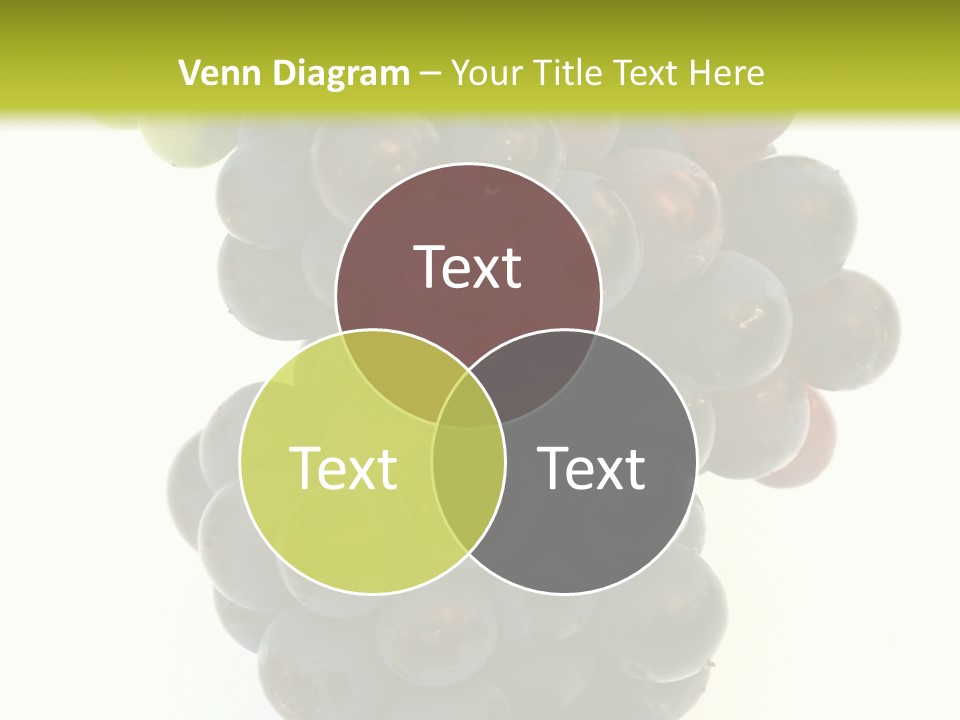Drink Plant Red PowerPoint Template