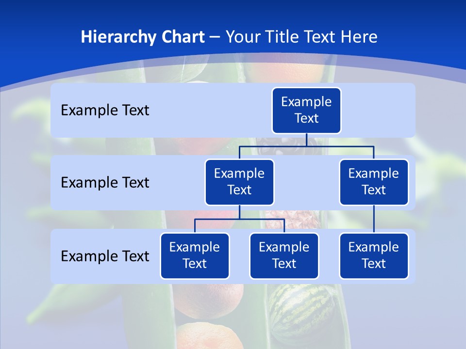 Leaves Health Water Melon PowerPoint Template