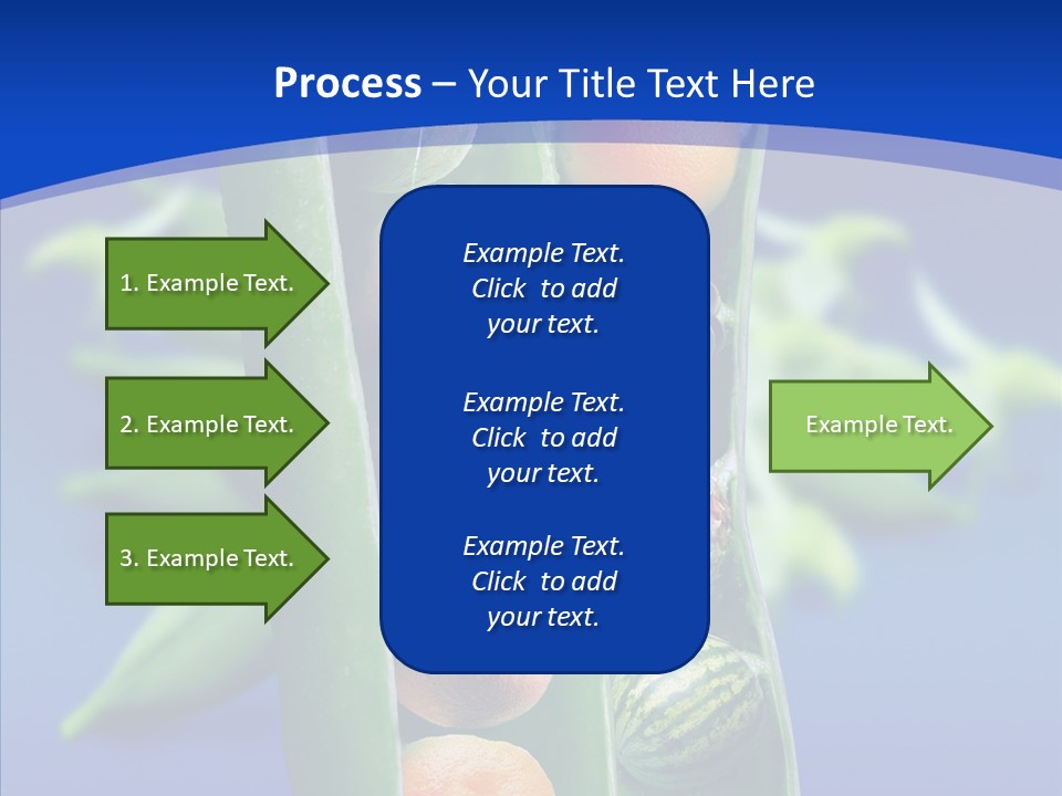 Leaves Health Water Melon PowerPoint Template