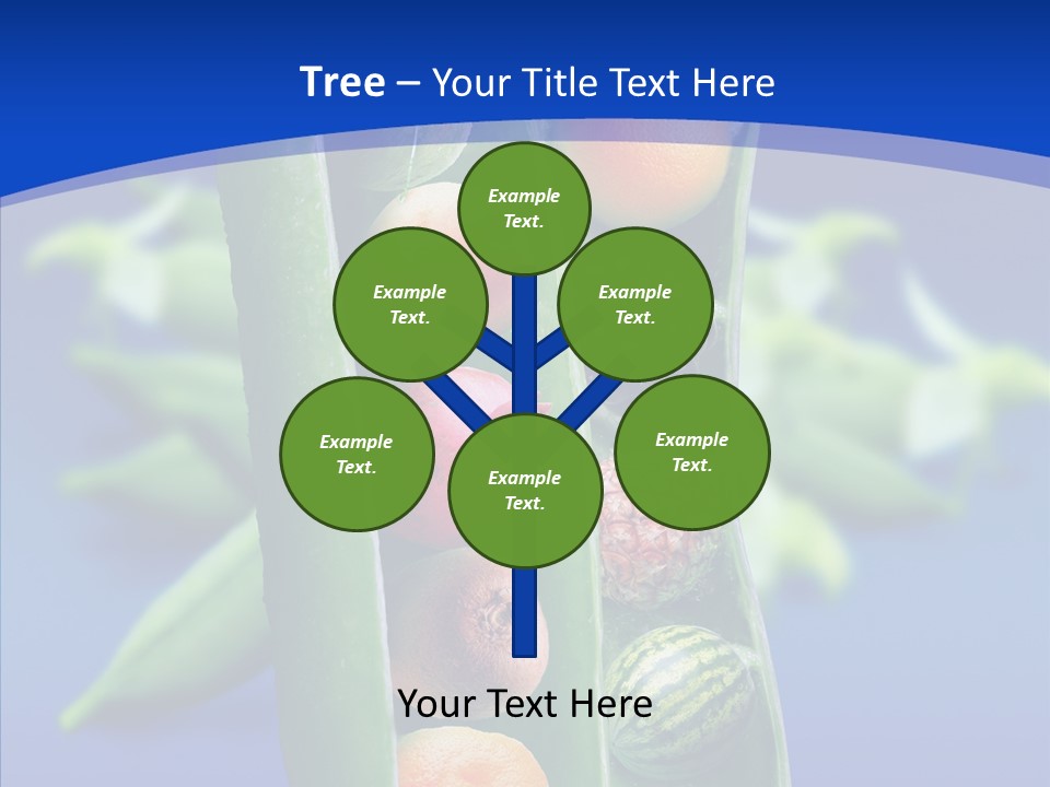 Leaves Health Water Melon PowerPoint Template