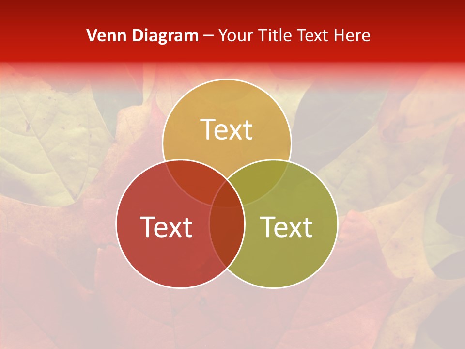 Maple Fall Multilayer PowerPoint Template