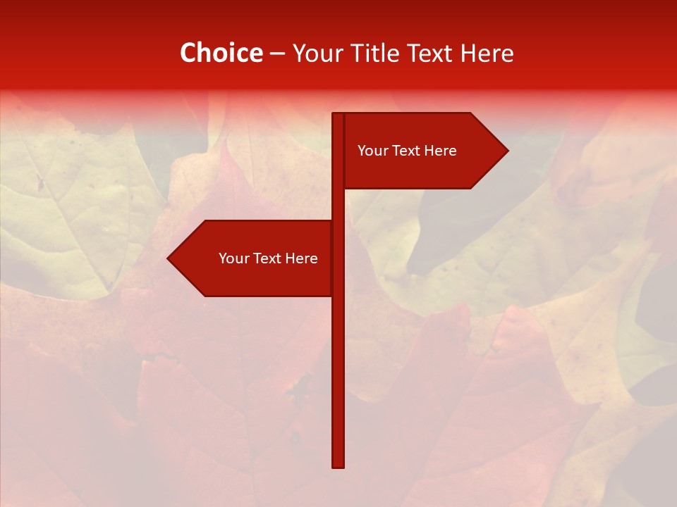 Maple Fall Multilayer PowerPoint Template