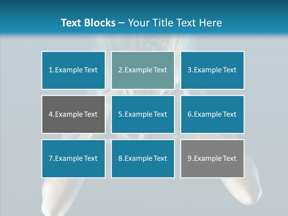 Sea Hair Do Backgrounds PowerPoint Template