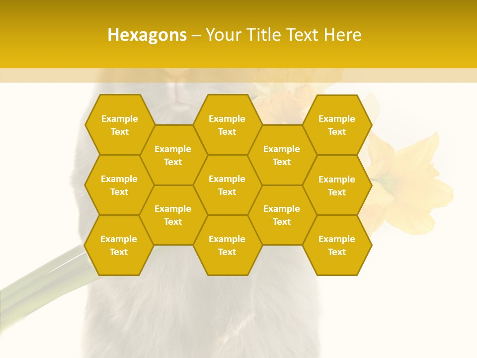 Small Foot Among PowerPoint Template