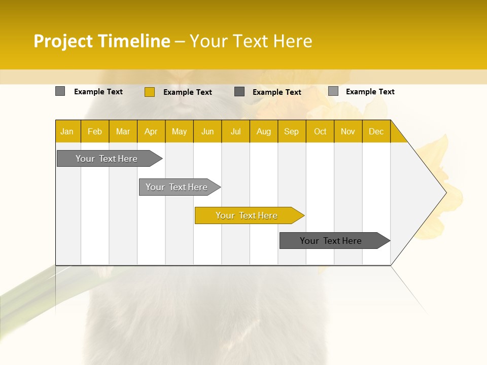 Small Foot Among PowerPoint Template