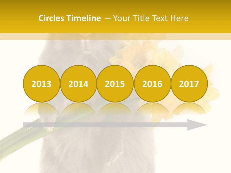 Small Foot Among PowerPoint Template