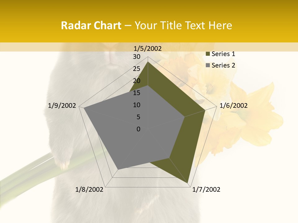 Small Foot Among PowerPoint Template