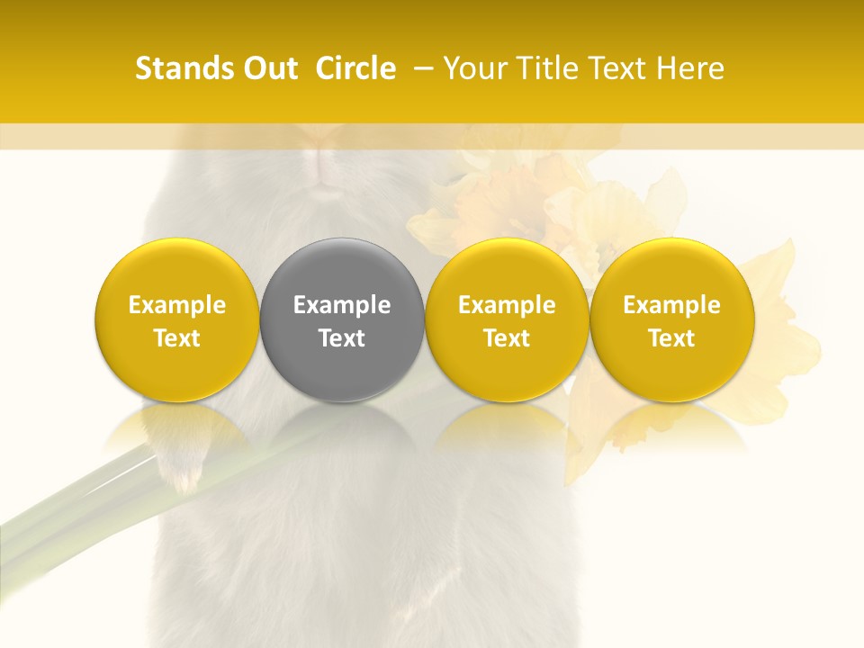 Small Foot Among PowerPoint Template