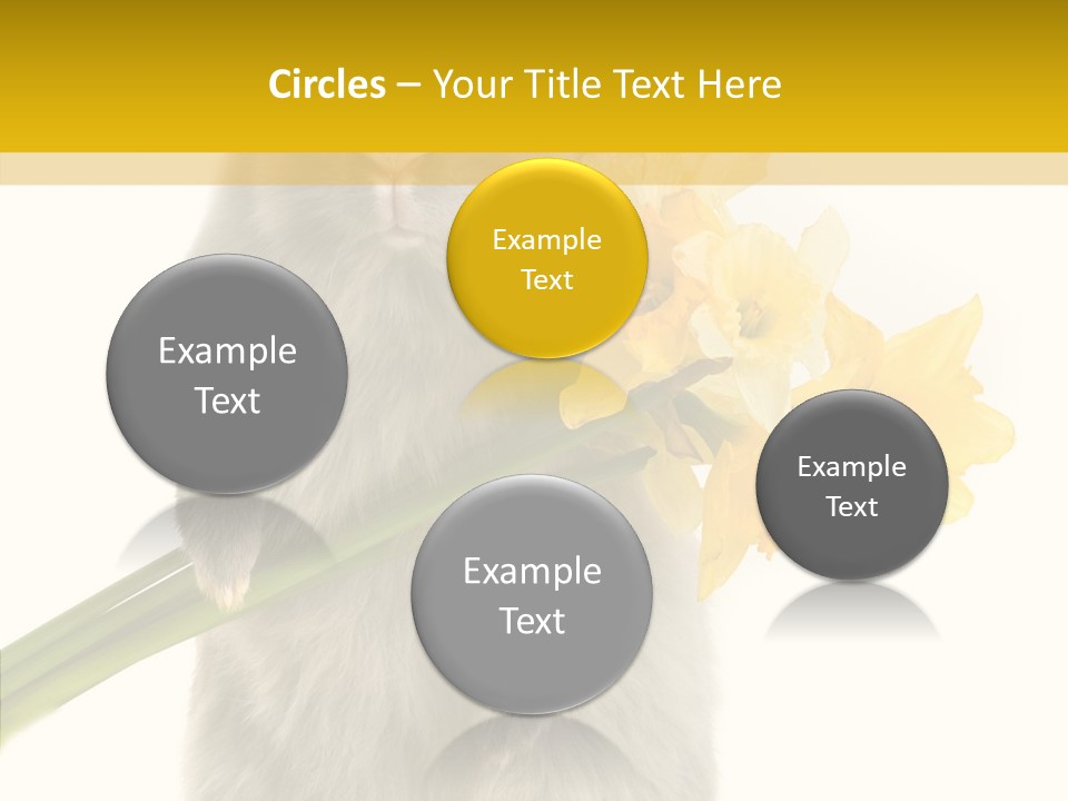 Small Foot Among PowerPoint Template