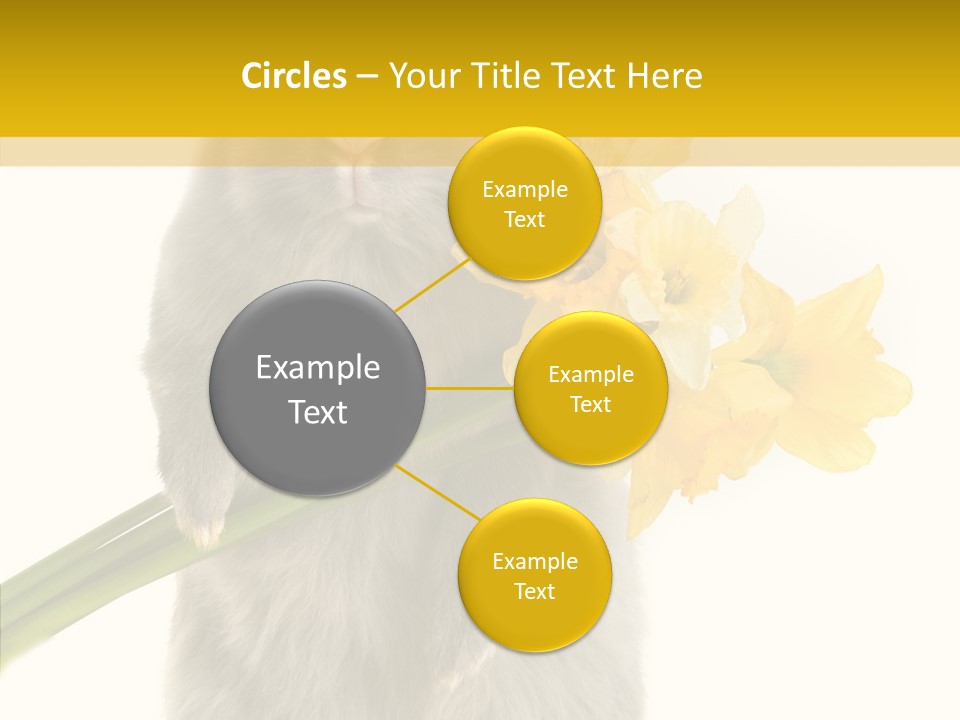 Small Foot Among PowerPoint Template