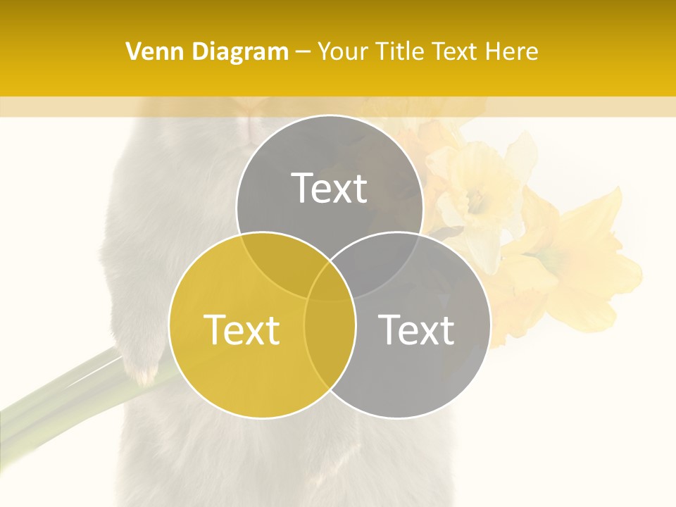 Small Foot Among PowerPoint Template