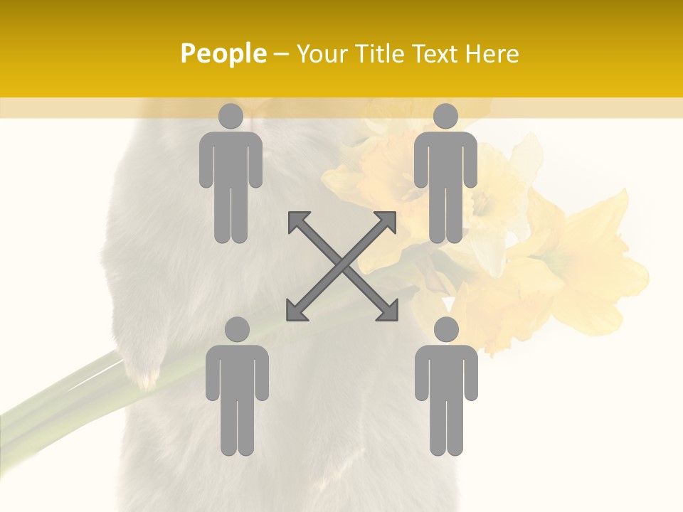 Small Foot Among PowerPoint Template