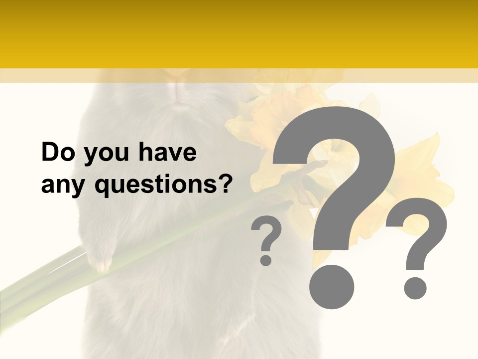 Small Foot Among PowerPoint Template