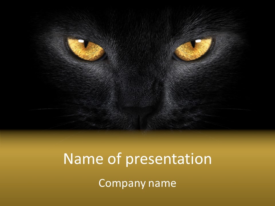 Look Zoo Domestic PowerPoint Template