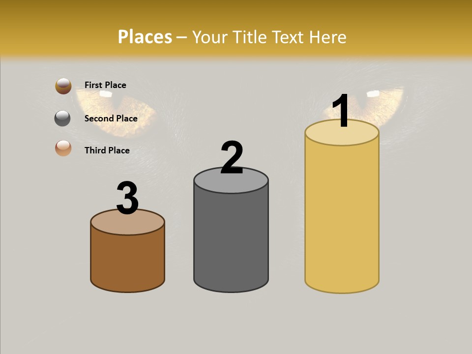 Look Zoo Domestic PowerPoint Template